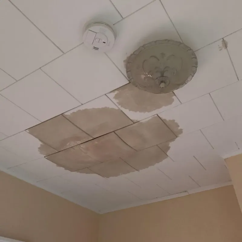 Ceiling Water Damage Repair in Willow Oak, FL